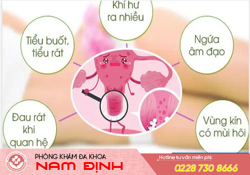 bác sĩ phụ khoa