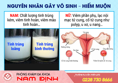 vô sinh hiếm muộn